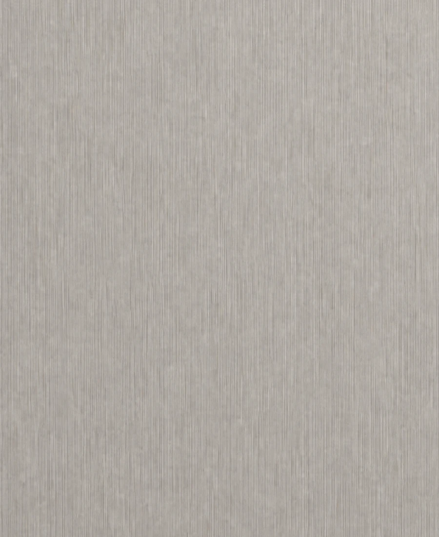 Brushed Stainless surface