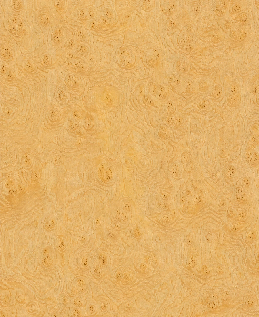 Karelian Birch surface