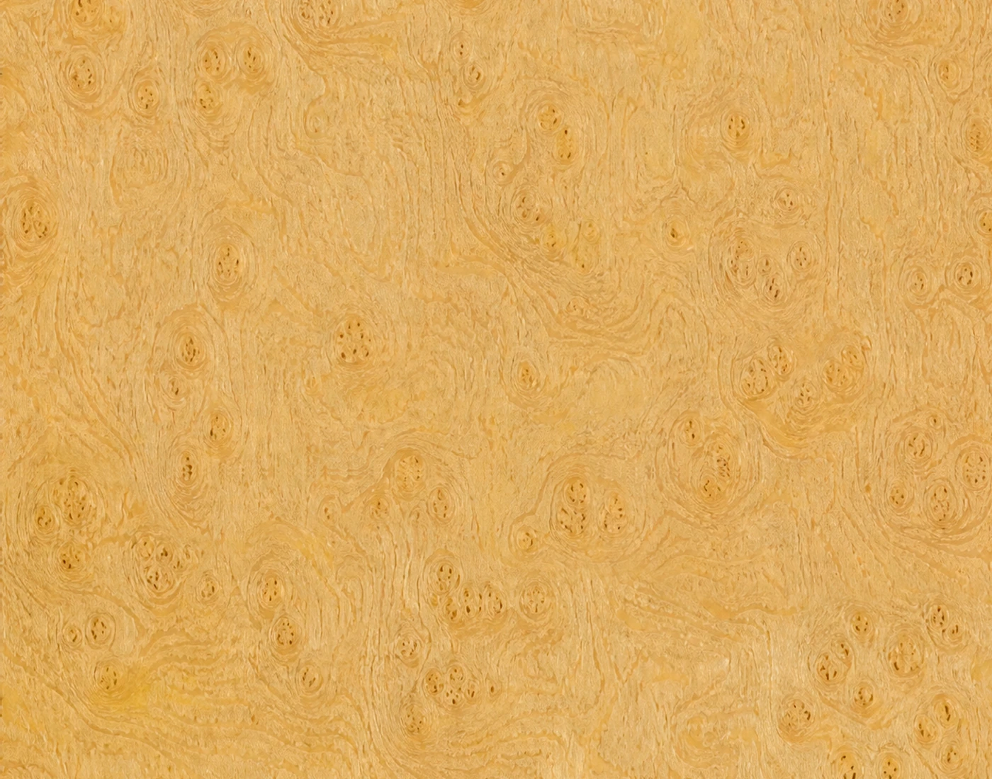Karelian Birch surface